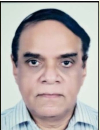 V. K. Mohamed